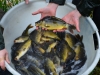 DSC_0431.JPG
